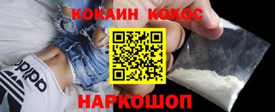 стафф Кингисепп