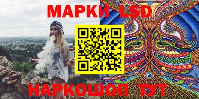 стафф Кингисепп
