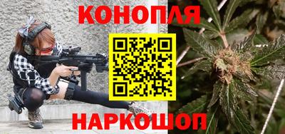 стафф Кингисепп