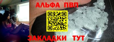 стафф Кингисепп