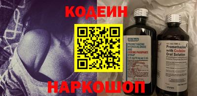 стафф Кингисепп