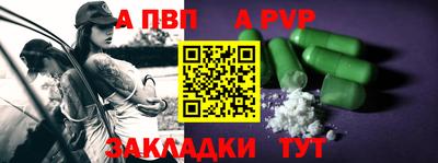 стафф Кингисепп