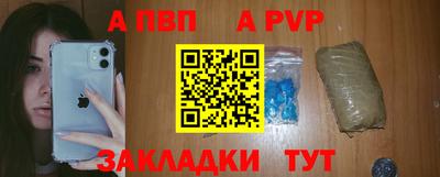 стафф Кингисепп