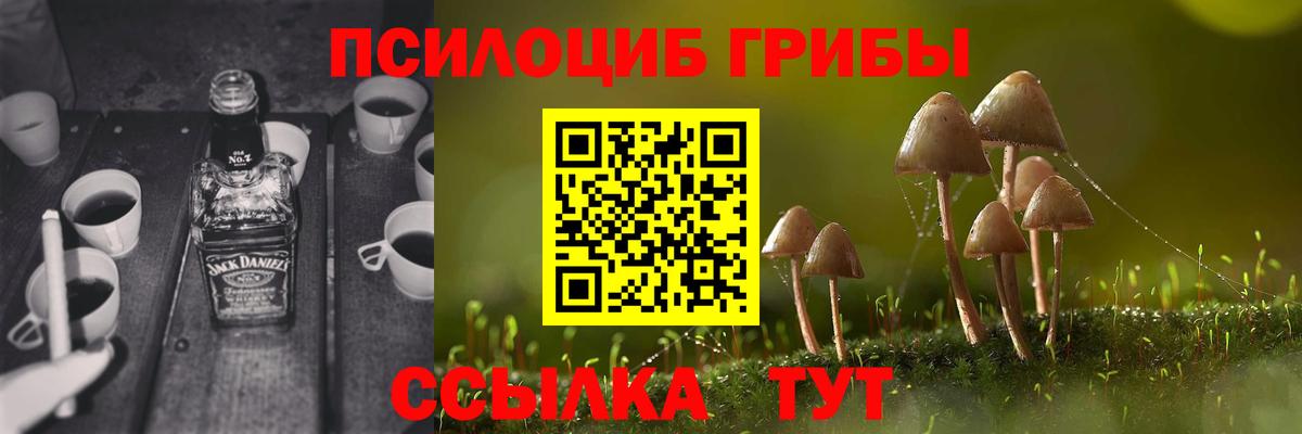 Янаул  Псилоцибиновые грибы MAGIC MUSHROOMS  Вход с VPN 